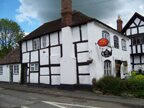 Kingsland on the black and white trail